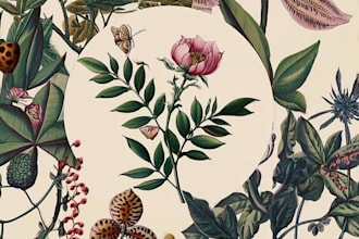 create vintage botanical, mystic, logo design illustration