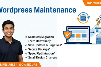 provide wordpress website maintenance and updates