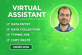 do excel data entry, mis reporting, data cleaning and google sheets work