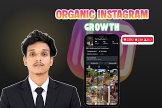 grow your instagram organically with targeted audience