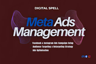 be your meta ads expert