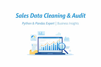 perform sales data auditing and smart cleaning using python
