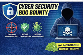 do bug hunting,penetration testing of web application