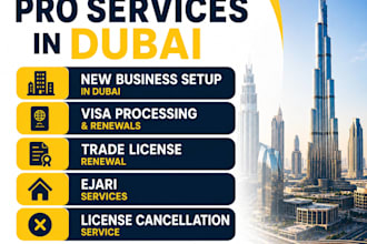 provide dubai pro services for all business needs