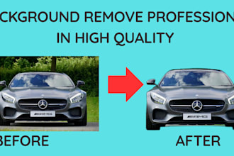remove background and deliver HD transparent png in 24h