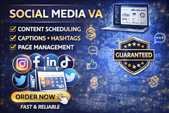 be your social media virtual assistant