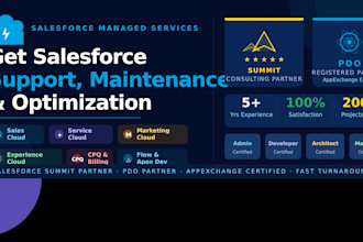 provide salesforce support, maintenance, and optimization