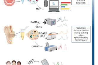 analyze and explain your spectroscopy data as raman, sers, ftir, cars, using ai