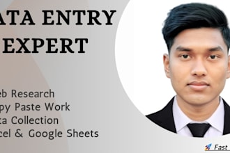 do professional data entry and copy paste work