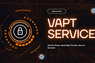 perform vapt and web penetration testing for your website