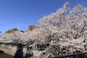 authentic japanese culture and travel writing