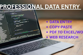 do data entry, typing and copy paste work accurately