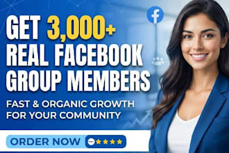 promote new  3,000 facebook members manually
