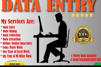 do fast data entry, copy paste, pdf to excel and typing work