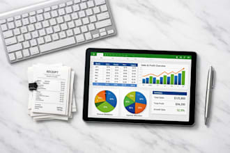 assist with financial data entry and excel