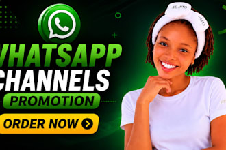 promote your whatsapp channel to build your brand awareness