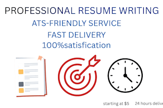 write a professional resume or CV for job seekers