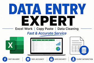 excel data entry and data cleaning