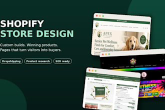 do professional shopify store design and setup