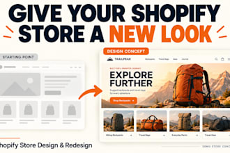 do professional shopify store design and setup