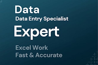 do data entry, excel work, copy paste and data cleaning