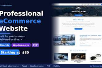 build a professional ecommerce website for your business