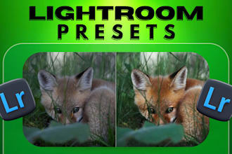 create premium custom lightroom presets for your brand or resale