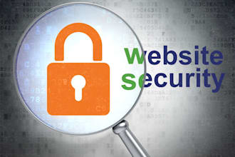 secure your website from ddos attacks and cyber attacks with website security