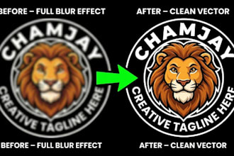 do vector tracing image, jpg, png or logo to vector raster to vector in 2hrs