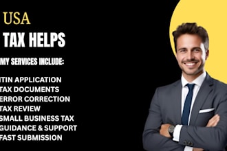 provide tax filing USA and irs tax help for freelancers and business