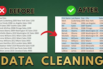 clean and format your messy data professionally