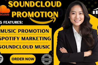 do music marketing for soundcloud music and spotify promotion