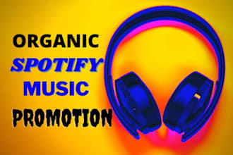 usa spotify music promotion, spotify music promotion