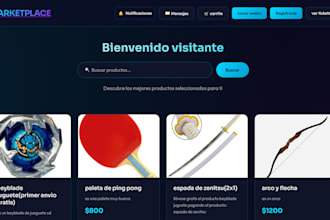 build web services with backend and basic frontend