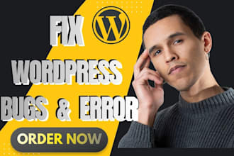 wordpress issues fixing, wordpress bugs fix, wordpress errors, fix website
