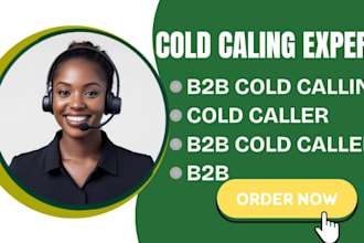 do cold calling,b2b cold calling and appointment setting for leads