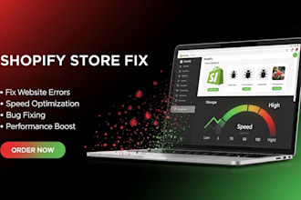 fix shopify bugs, errors, and speed issues