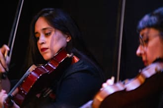 record a violin o viola part in your project