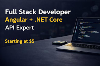 develop full stack web app with angular and dotnet
