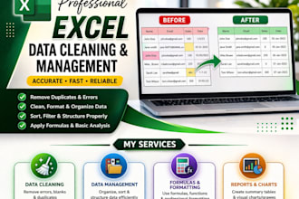 do data cleaning, data management and excel work in easy to understand way