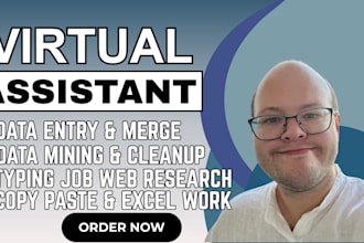 do excel virtual assistant, data entry cleaning and automation