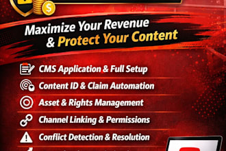 provide youtube cms and mcn services professionally