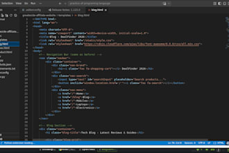 develop a professional and responsive website