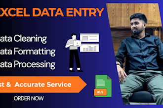 data entry, data cleaning and formatting