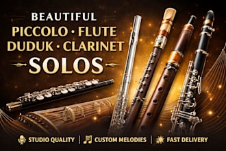 record professional piccolo, flute, duduk, clarinet, solos for your song