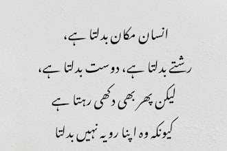 do professional urdu and english typing and data entry