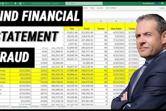 verify bank statements and books of accounts for fraud investigation