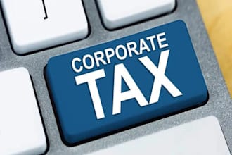 file corporation tax return, company accounts and self assessment