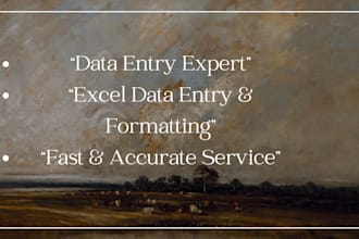 do accurate data entry and excel work