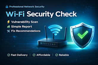 do basic security audit